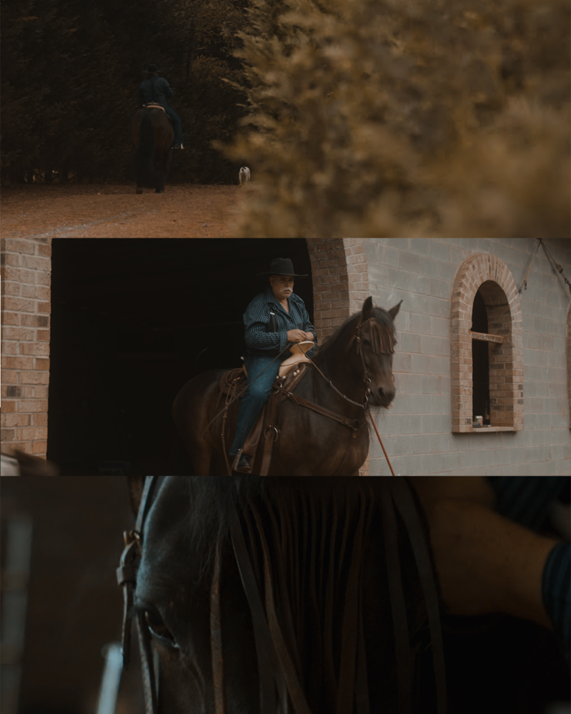 Commercial for Horse Trainer